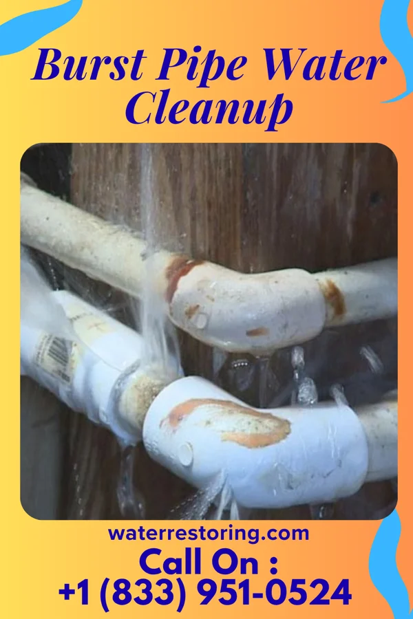 Burst Pipe Water Cleanup in Clarks Green, PA