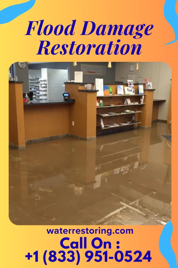 Flood Damage Restoration in Clarks Green, PA
