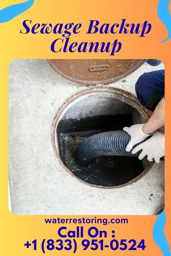 Sewage Backup Cleanup in Clarks Green, PA